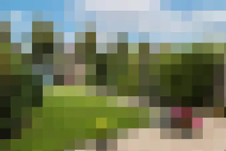 Leonardusdal 75 Valkenswaard thumbnail 39