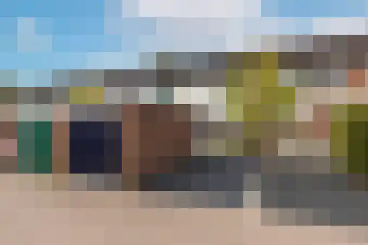 Leonardusdal 75 Valkenswaard thumbnail 4