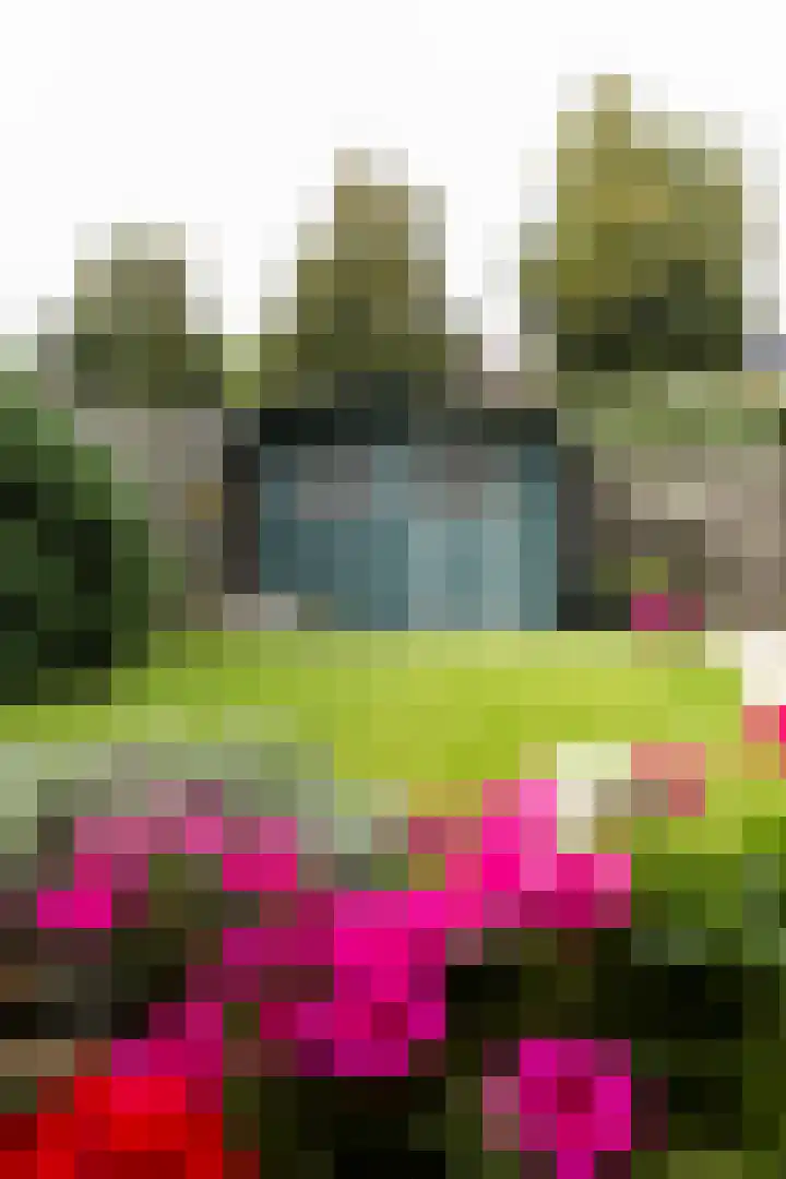 Leonardusdal 75 Valkenswaard thumbnail 41