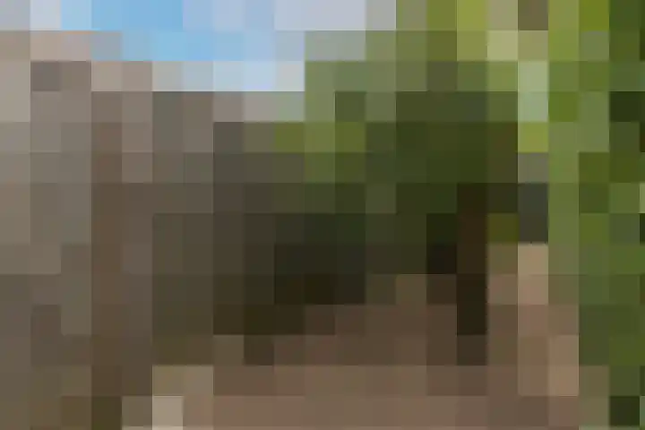 Leonardusdal 75 Valkenswaard thumbnail 42