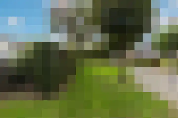 Leonardusdal 75 Valkenswaard thumbnail 43
