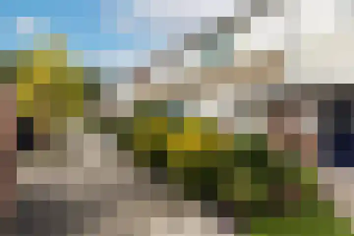 Leonardusdal 75 Valkenswaard thumbnail 45