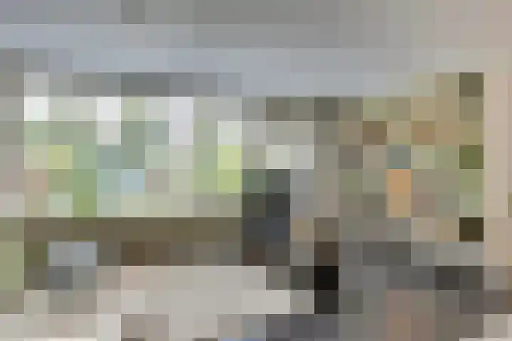 Leonardusdal 75 Valkenswaard thumbnail 8