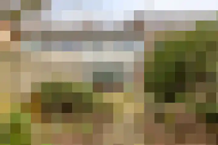 Leonardusdal 85 Valkenswaard thumbnail 19