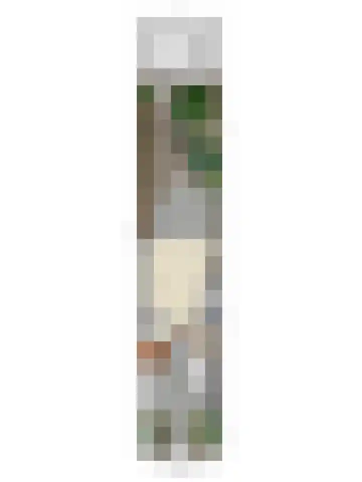 Leonardusdal 85 Valkenswaard thumbnail 37