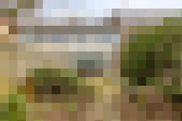 Leonardusdal 85 Valkenswaard thumbnail 5