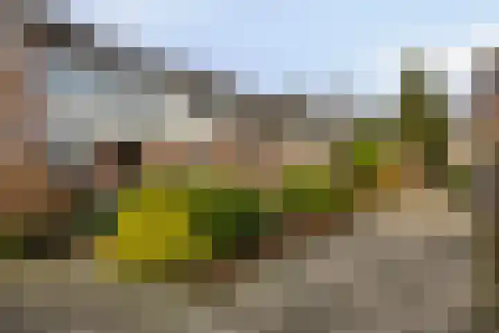 Leonardusdal 85 Valkenswaard thumbnail 6