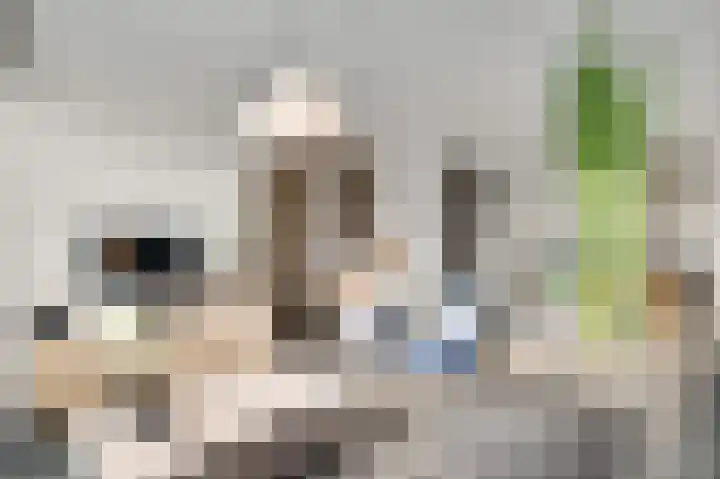 Leonardusstraat 10 Beegden thumbnail 8