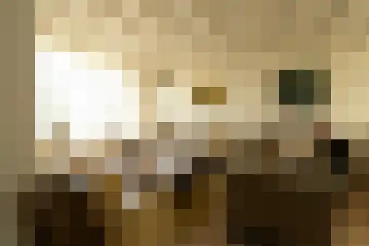 Leonardusstraat 16 Beegden thumbnail 4