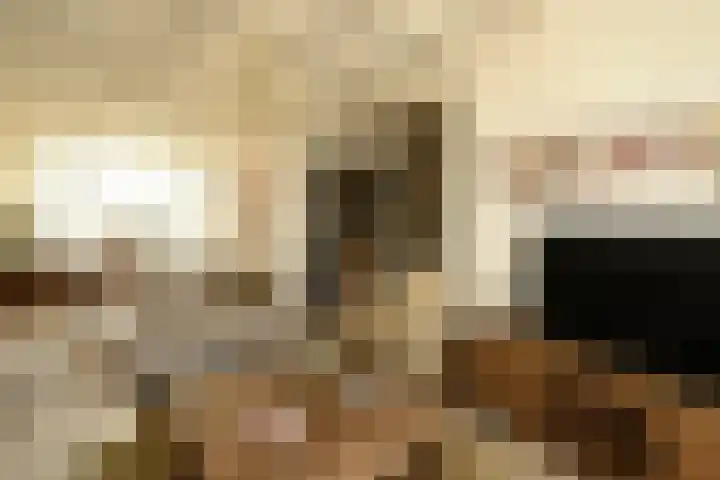 Leonardusstraat 16 Beegden thumbnail 7