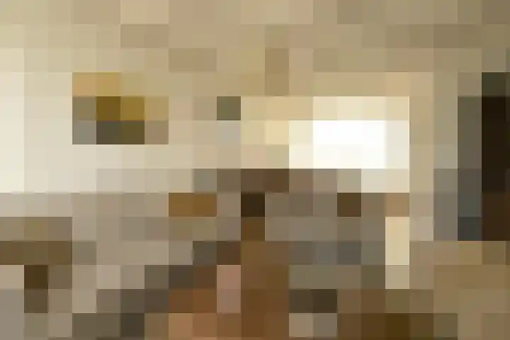 Leonardusstraat 16 Beegden thumbnail 8