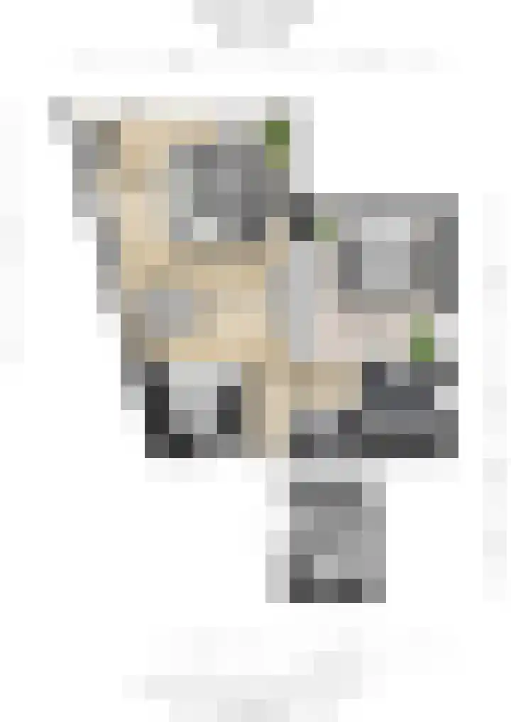 Foto von Leonie Poland