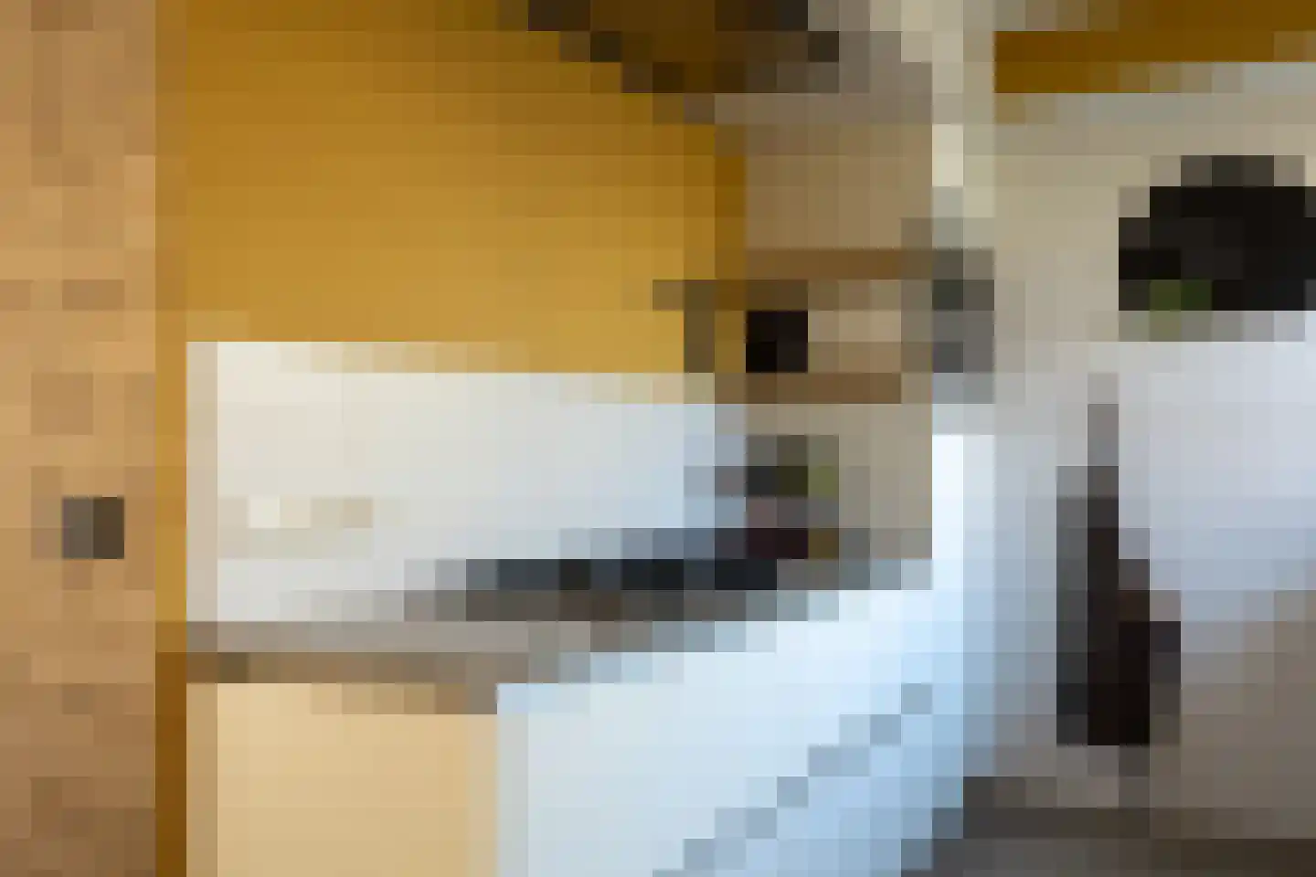 Léonie van Oudyckstraat 30 Oosterhout thumbnail 11