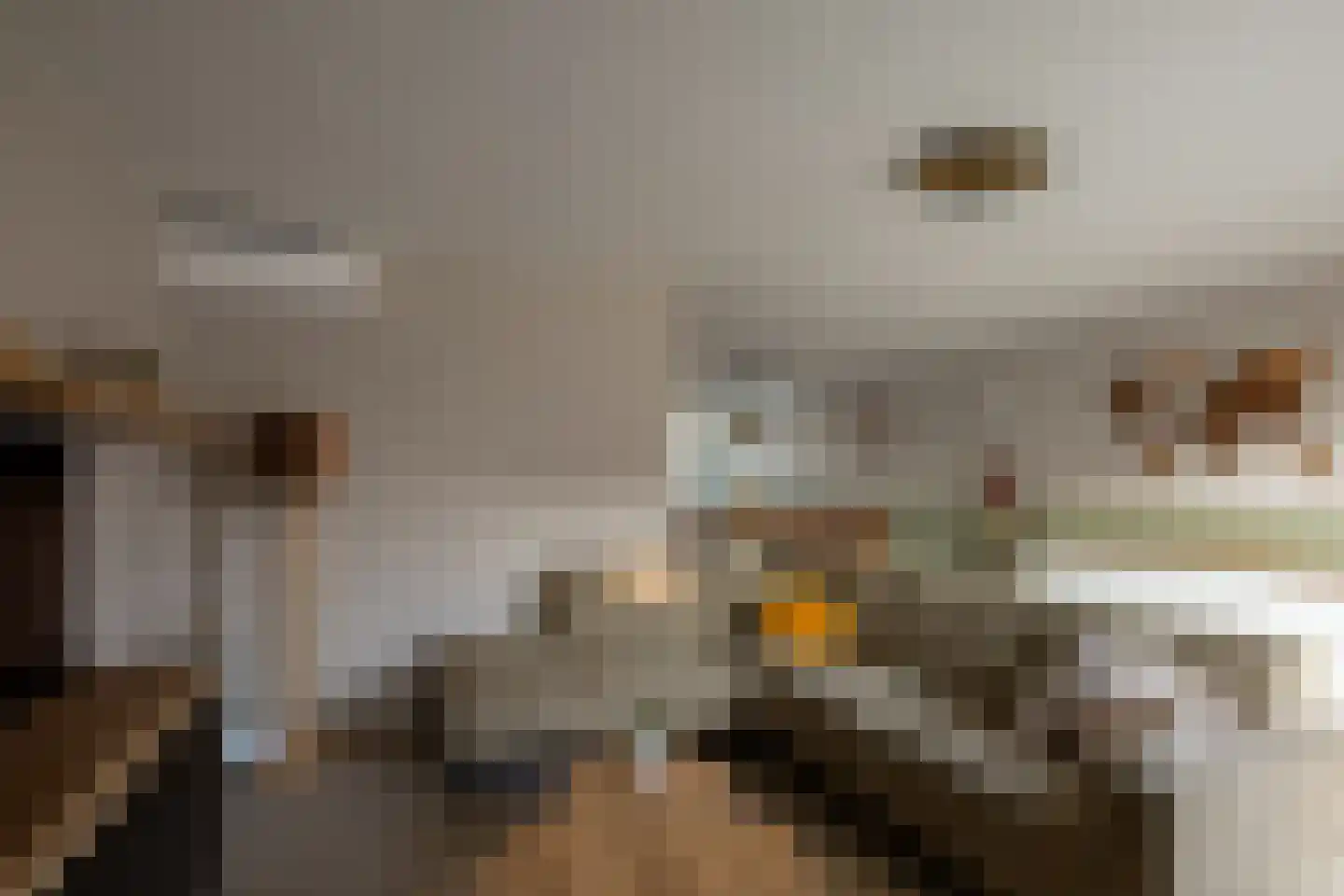 Léonie van Oudyckstraat 30 Oosterhout thumbnail 6