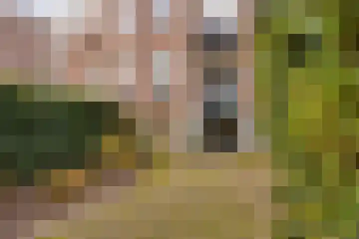 Leoninusstraat 42 Arnhem thumbnail 27