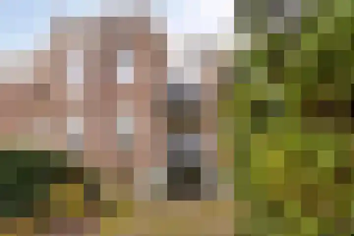 Leoninusstraat 42 Arnhem thumbnail 29