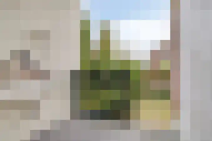 Leoninusstraat 42 Arnhem thumbnail 5