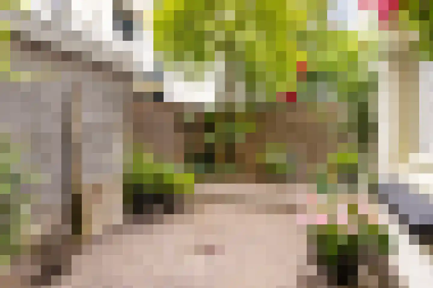 Leoninusstraat 55 Arnhem thumbnail 18
