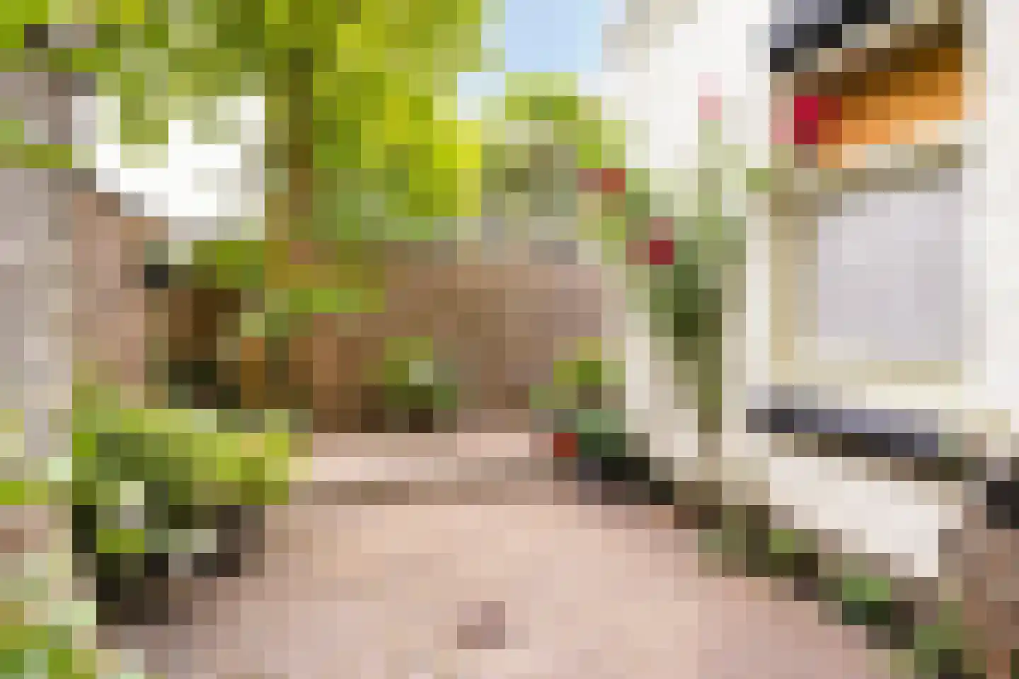 Leoninusstraat 55 Arnhem thumbnail 19