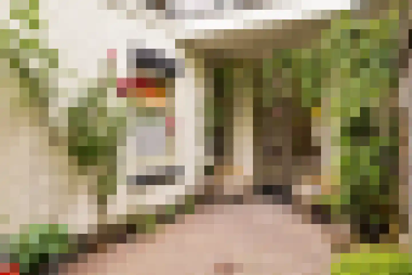Leoninusstraat 55 Arnhem thumbnail 20