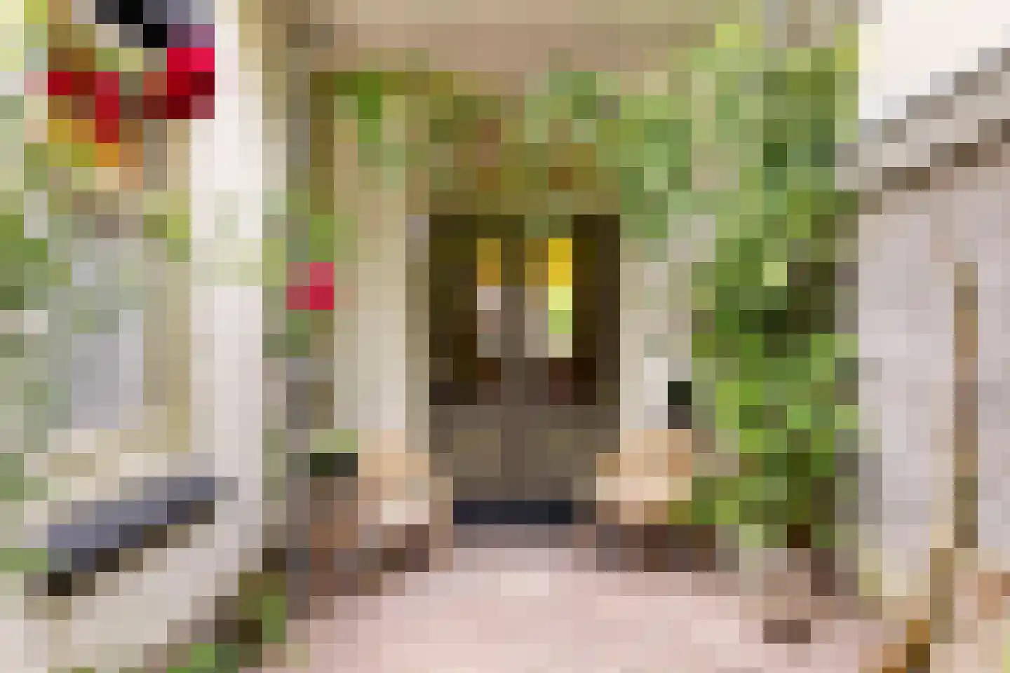 Leoninusstraat 55 Arnhem thumbnail 21