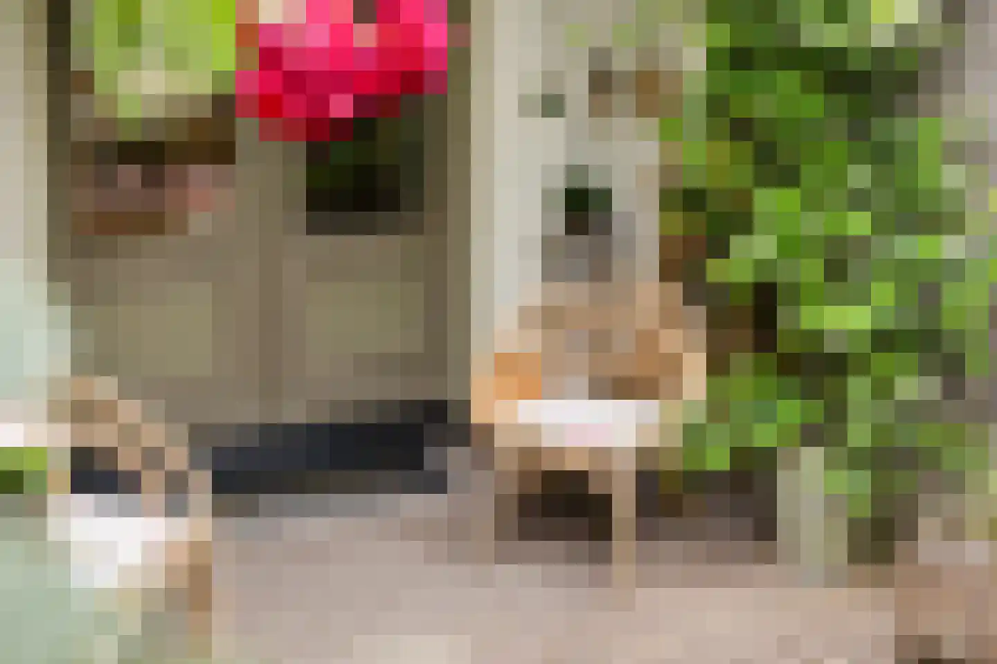 Leoninusstraat 55 Arnhem thumbnail 22