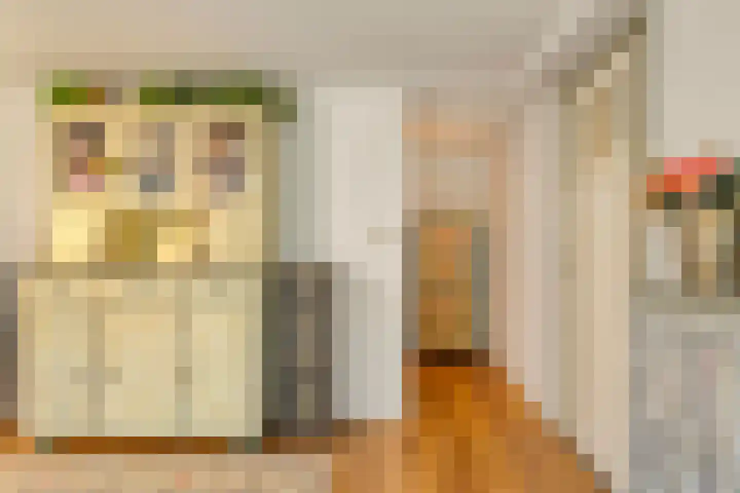 Leoninusstraat 55 Arnhem thumbnail 30