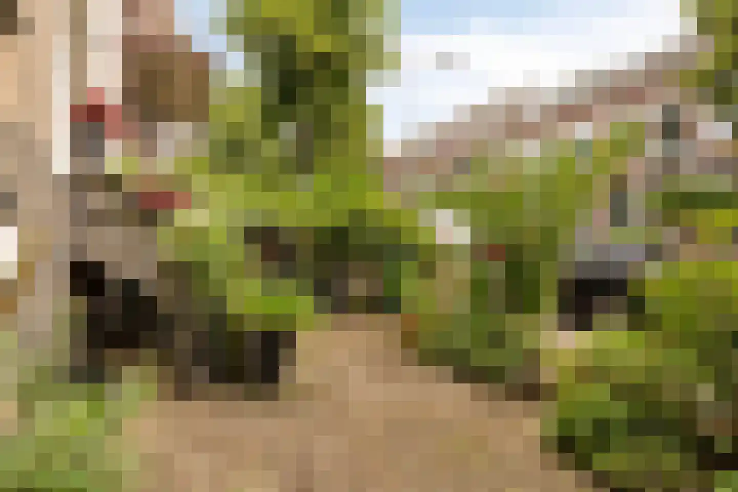 Leoninusstraat 55 Arnhem thumbnail 32