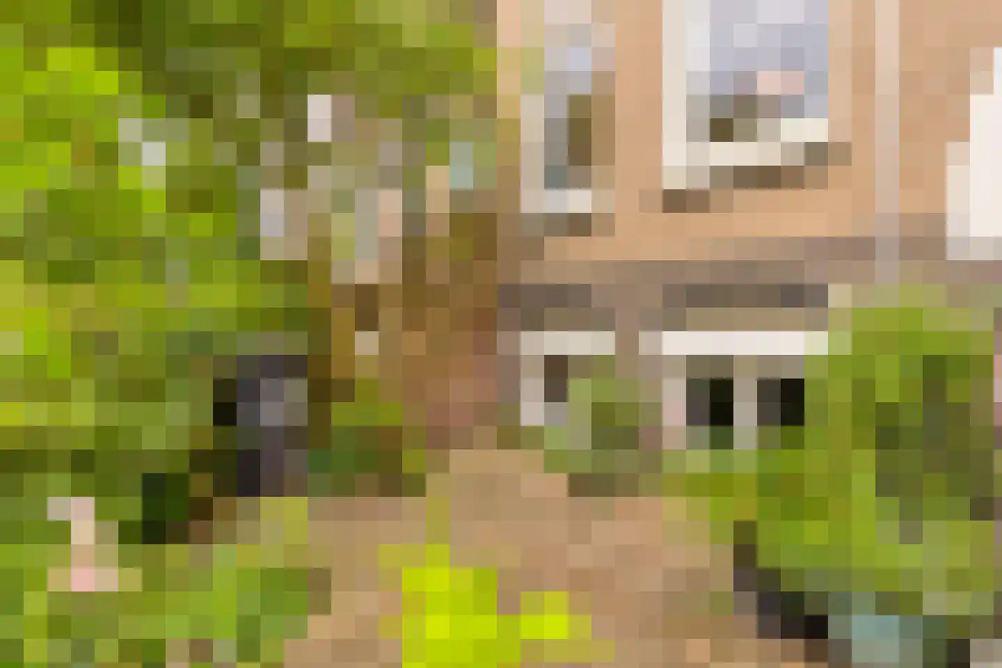 Leoninusstraat 55 Arnhem thumbnail 33