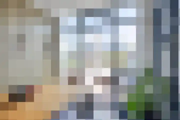 Leoninusstraat 68 Arnhem thumbnail 19