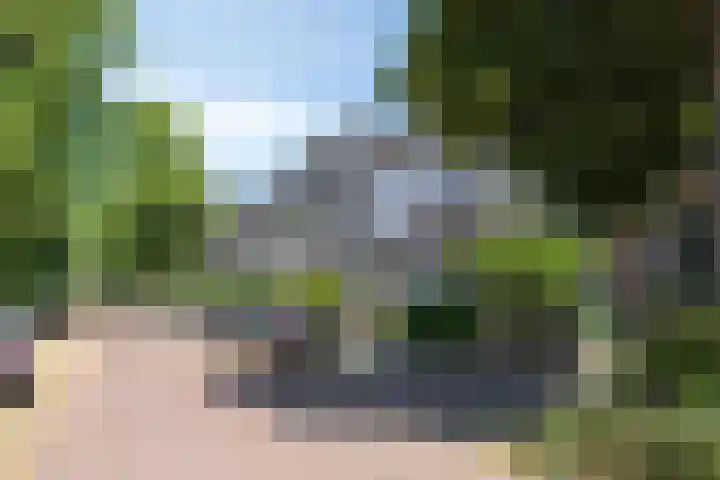 Leoninusstraat 68 Arnhem thumbnail 45
