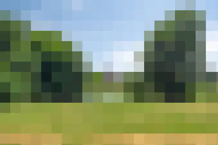 Leoninusstraat 68 Arnhem thumbnail 48