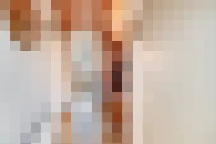 Leonofstraat 21 Krommenie thumbnail 11