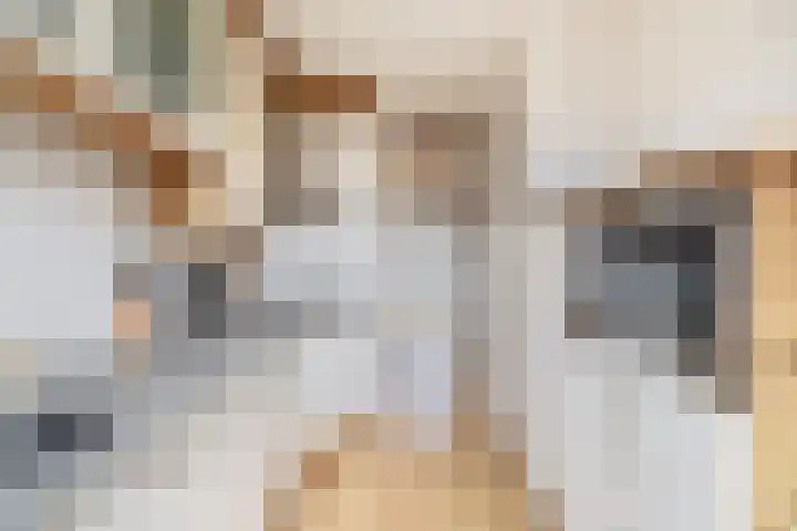 Leonofstraat 21 Krommenie thumbnail 17