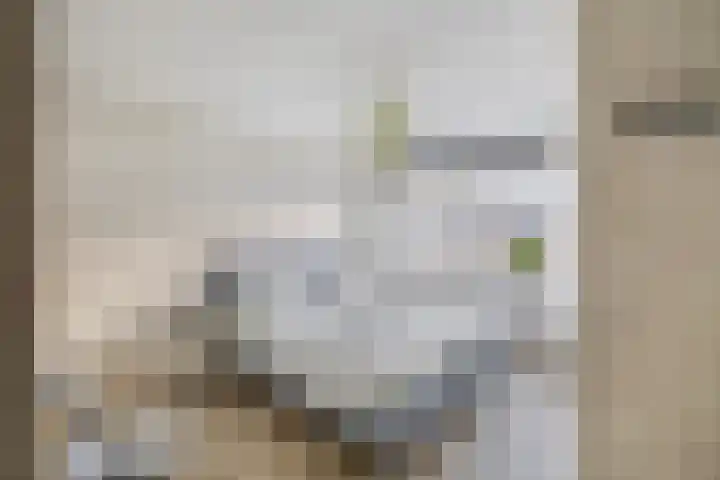 Leonofstraat 21 Krommenie thumbnail 21