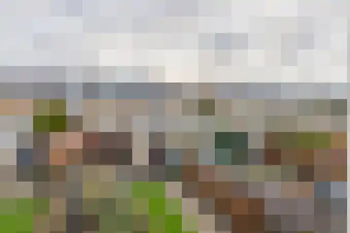 Leonofstraat 21 Krommenie thumbnail 23
