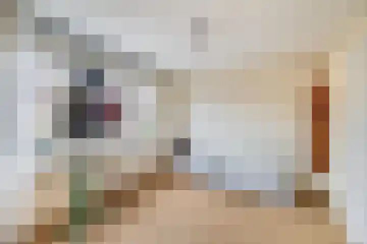 Leonofstraat 21 Krommenie thumbnail 26