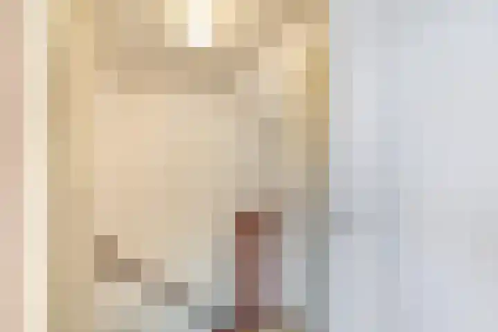 Leonofstraat 21 Krommenie thumbnail 29