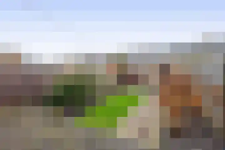 Leonofstraat 21 Krommenie thumbnail 34
