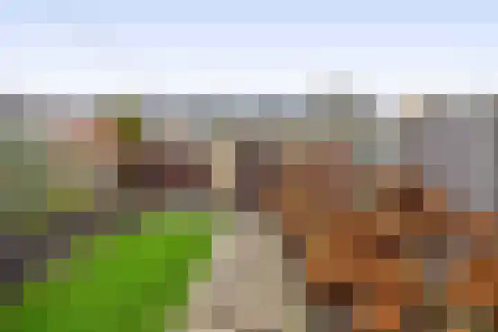 Leonofstraat 21 Krommenie thumbnail 35