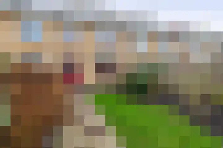 Leonofstraat 21 Krommenie thumbnail 36