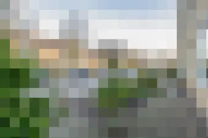 Leonofstraat 21 Krommenie thumbnail 9