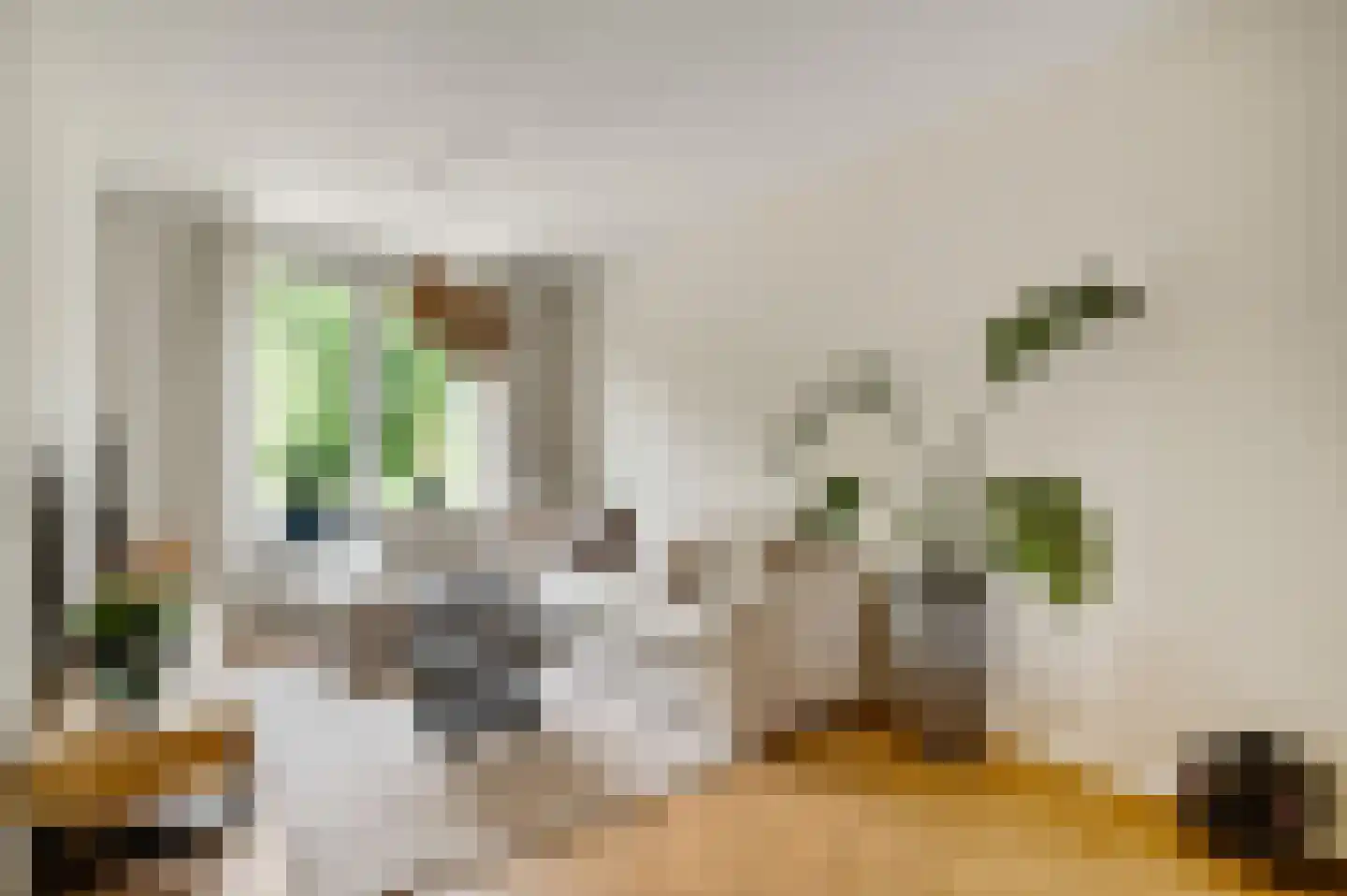 Leopold Haffmansstraat 42 Horst thumbnail 16