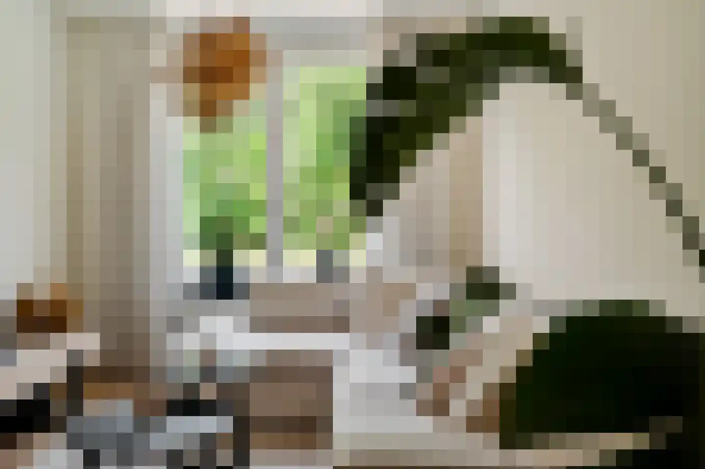 Leopold Haffmansstraat 42 Horst thumbnail 18