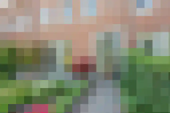Leopold Haffmansstraat 48 Horst thumbnail 8