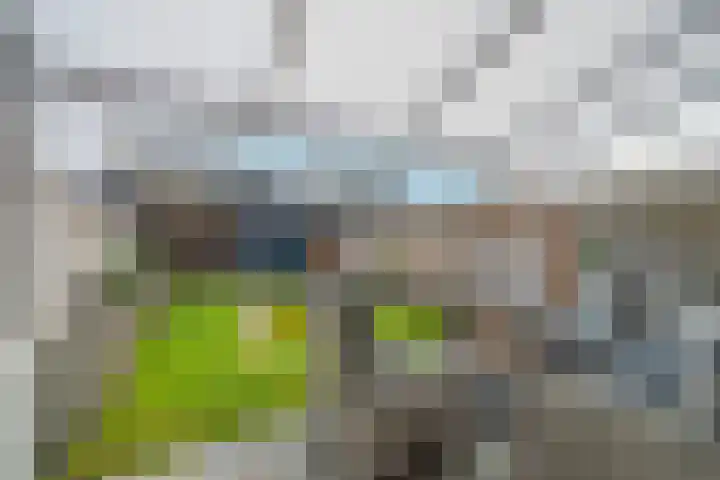 Leopold Haffmansstraat 5 Horst thumbnail 22