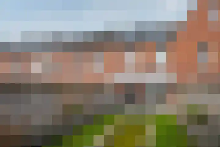 Leopold Haffmansstraat 5 Horst thumbnail 27