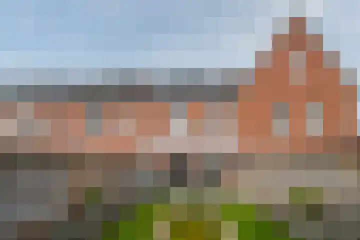 Leopold Haffmansstraat 5 Horst thumbnail 28