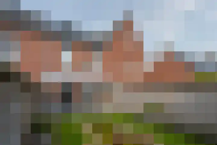 Leopold Haffmansstraat 5 Horst thumbnail 29