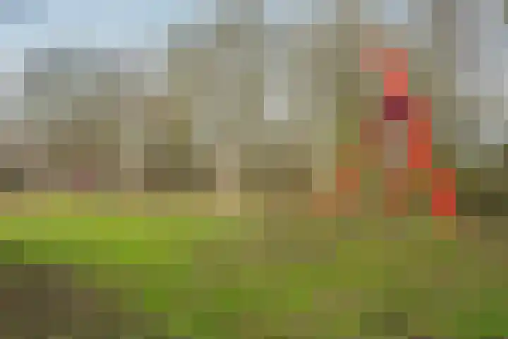 Leopold Haffmansstraat 5 Horst thumbnail 35